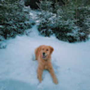 Meet your Posher, Jazmine